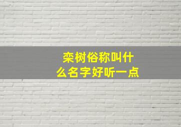 栾树俗称叫什么名字好听一点