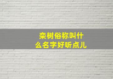 栾树俗称叫什么名字好听点儿