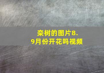 栾树的图片8.9月份开花吗视频