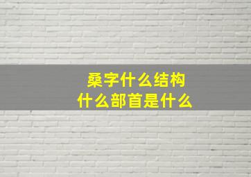 桑字什么结构什么部首是什么