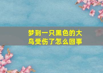 梦到一只黑色的大鸟受伤了怎么回事