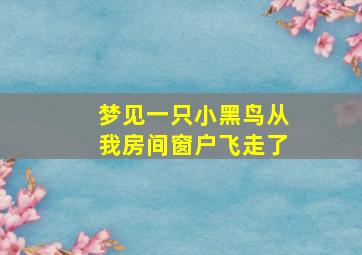 梦见一只小黑鸟从我房间窗户飞走了