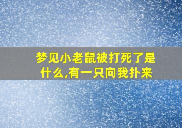 梦见小老鼠被打死了是什么,有一只向我扑来