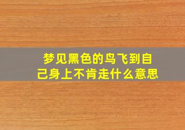 梦见黑色的鸟飞到自己身上不肯走什么意思