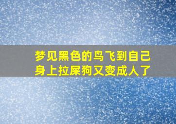 梦见黑色的鸟飞到自己身上拉屎狗又变成人了