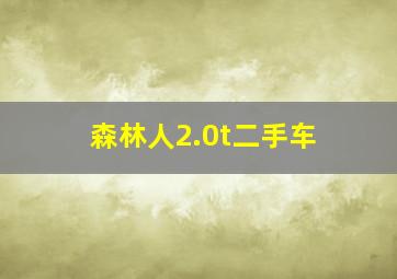 森林人2.0t二手车