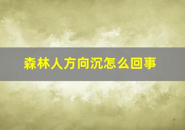 森林人方向沉怎么回事