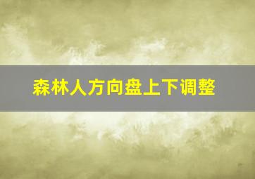 森林人方向盘上下调整