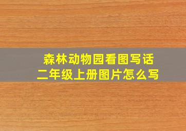 森林动物园看图写话二年级上册图片怎么写