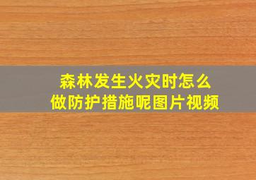 森林发生火灾时怎么做防护措施呢图片视频