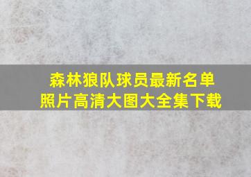 森林狼队球员最新名单照片高清大图大全集下载