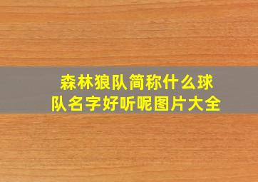 森林狼队简称什么球队名字好听呢图片大全