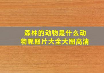 森林的动物是什么动物呢图片大全大图高清