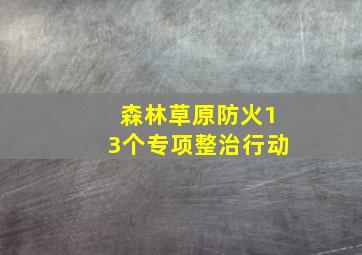 森林草原防火13个专项整治行动