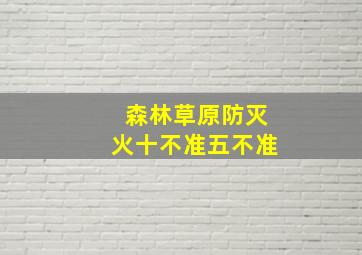 森林草原防灭火十不准五不准