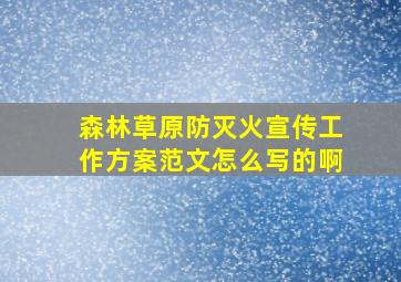 森林草原防灭火宣传工作方案范文怎么写的啊