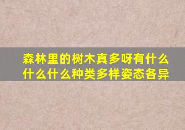 森林里的树木真多呀有什么什么什么种类多样姿态各异