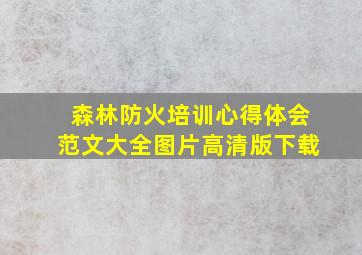 森林防火培训心得体会范文大全图片高清版下载