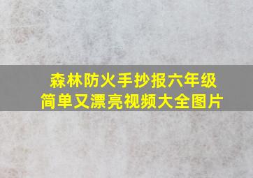 森林防火手抄报六年级简单又漂亮视频大全图片