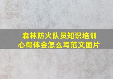 森林防火队员知识培训心得体会怎么写范文图片