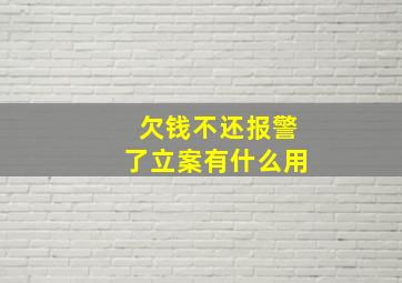 欠钱不还报警了立案有什么用