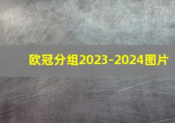 欧冠分组2023-2024图片