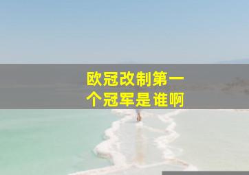 欧冠改制第一个冠军是谁啊