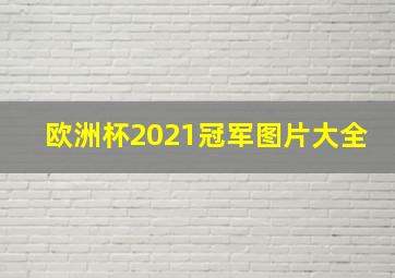 欧洲杯2021冠军图片大全