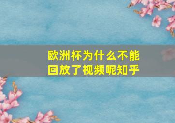 欧洲杯为什么不能回放了视频呢知乎