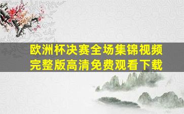 欧洲杯决赛全场集锦视频完整版高清免费观看下载