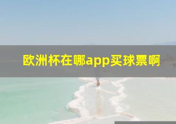 欧洲杯在哪app买球票啊