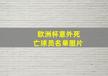 欧洲杯意外死亡球员名单图片