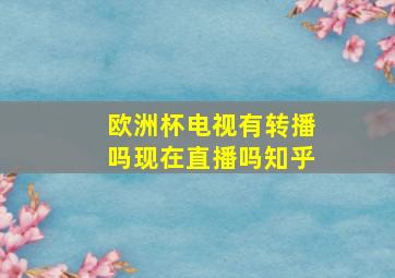 欧洲杯电视有转播吗现在直播吗知乎