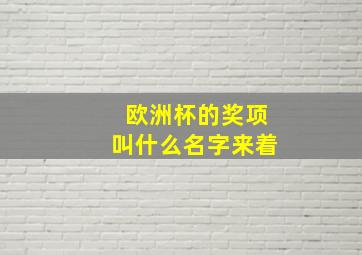 欧洲杯的奖项叫什么名字来着