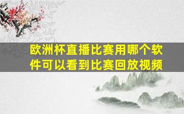 欧洲杯直播比赛用哪个软件可以看到比赛回放视频