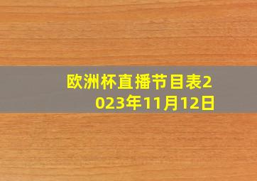 欧洲杯直播节目表2023年11月12日