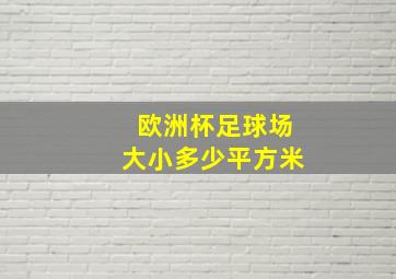 欧洲杯足球场大小多少平方米