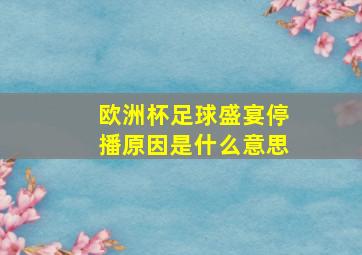 欧洲杯足球盛宴停播原因是什么意思