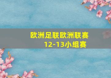 欧洲足联欧洲联赛12-13小组赛