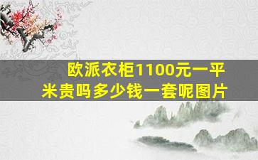 欧派衣柜1100元一平米贵吗多少钱一套呢图片