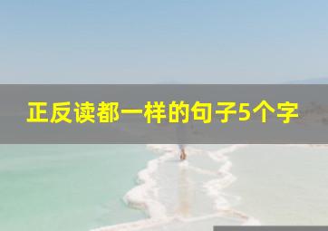 正反读都一样的句子5个字