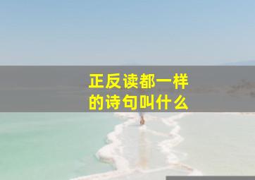 正反读都一样的诗句叫什么