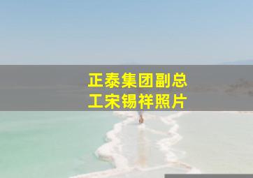 正泰集团副总工宋锡祥照片