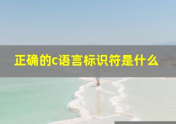 正确的c语言标识符是什么