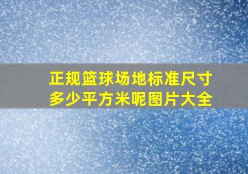 正规篮球场地标准尺寸多少平方米呢图片大全