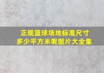 正规篮球场地标准尺寸多少平方米呢图片大全集