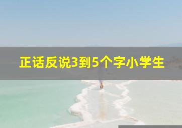 正话反说3到5个字小学生