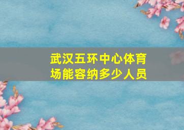 武汉五环中心体育场能容纳多少人员