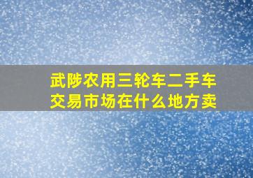 武陟农用三轮车二手车交易市场在什么地方卖