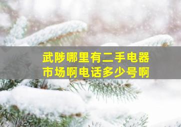 武陟哪里有二手电器市场啊电话多少号啊